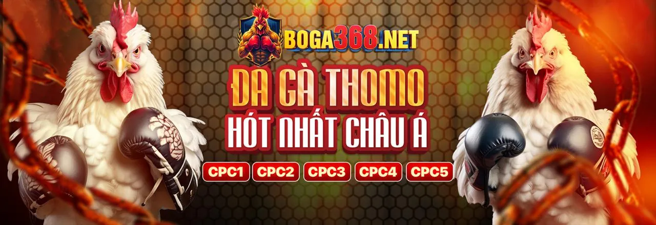 Tin tức Netwin Nhà Cái mới nhất về các ưu đãi và sự kiện hấp dẫn