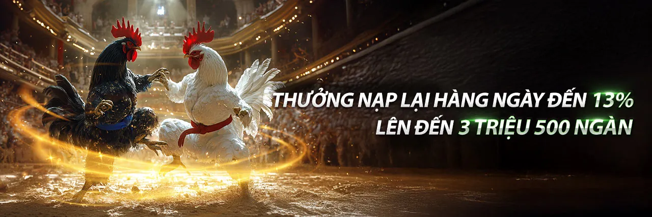 Đá gà trực tuyến Netwin 2026 với không khí sôi động