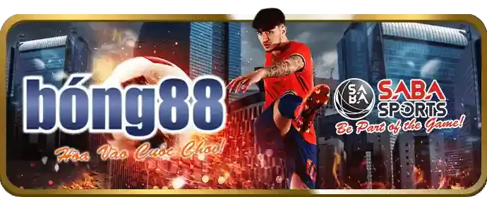 Hoa hồng hấp dẫn Netwin Nhà Cái